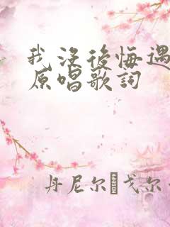 我没后悔遇见你原唱歌词