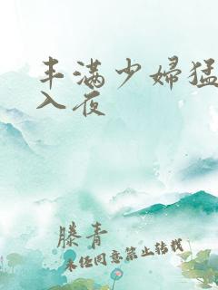 丰满少妇猛烈进入夜