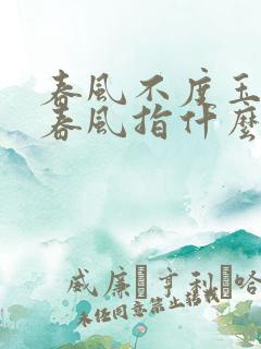 春风不度玉门关春风指什么意思