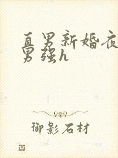 直男新婚夜被猛男强h