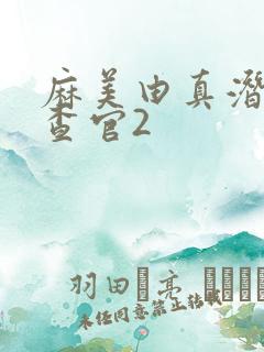 麻美由真潜入搜查官2