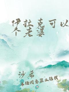 伊拉克可以娶几个老婆