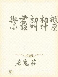 与君初相识原著小说叫什么