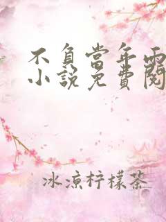 不负当年雨中情小说免费阅读