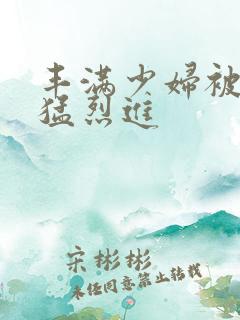 丰满少妇被粗大猛烈进