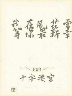 我在风花雪月里等你最新章节新