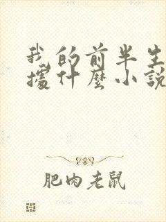 我的前半生是根据什么小说改编的