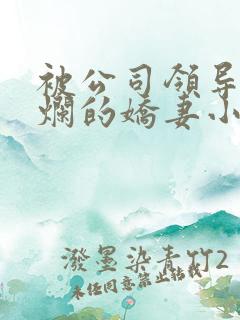 被公司领导们玩烂的娇妻小说