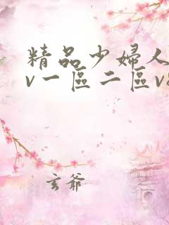 精品少妇人妻av一区二区v8