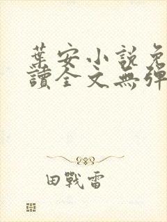 叶安小说免费阅读全文无弹窗