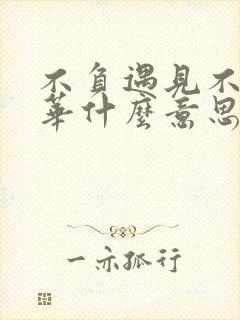 不负遇见不负韶华什么意思