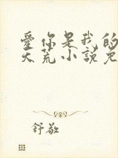 爱你是我的地老天荒小说免费阅读