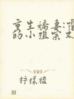 重生娇妻:霍爷的小祖宗又撒娇了免费阅读