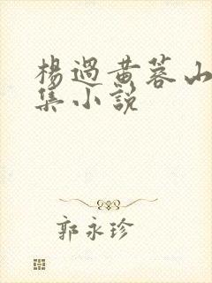 杨过黄蓉山洞续集小说