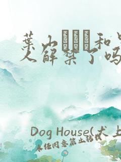 叶山さゆり和黑人解禁了吗