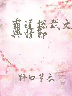 霸道总裁文的经典情节