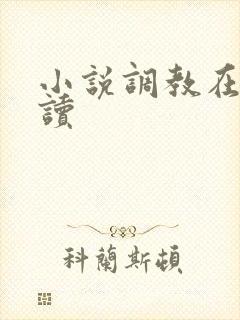 小说调教在线阅读