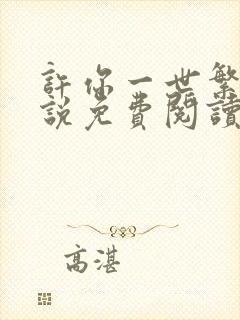 许你一世繁华小说免费阅读