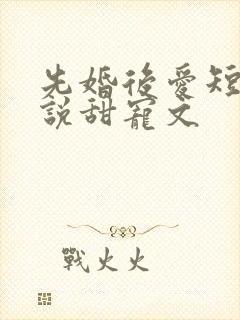 先婚后爱短篇小说甜宠文