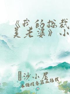 《我的总裁白富美老婆》小说