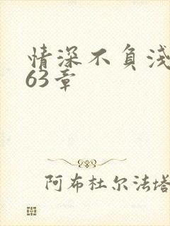 情深不负浅时光63章