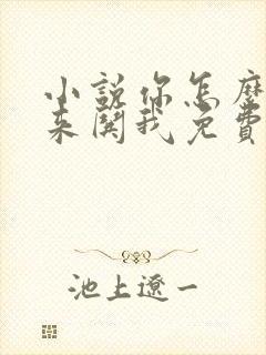 小说你怎么还不来哄我免费阅读