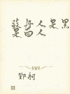 苏丹人是黑人还是白人