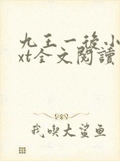 九王一后小说txt全文阅读