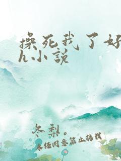 操死我了好爽高h小说