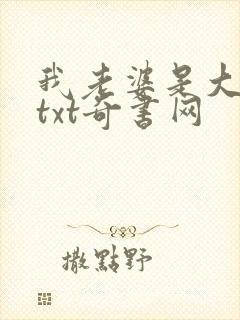 我老婆是大明星txt奇书网