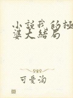 小说我的极品老婆大结局