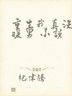 重生我真没想当暖男 小说