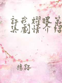 许我耀眼第13集剧情介绍