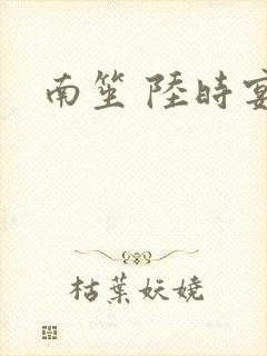 南笙 陆时宴