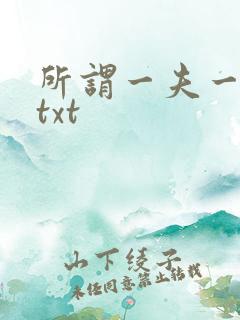 所谓一夫一妻制txt