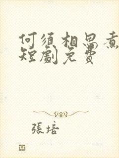 何须相思煮余年短剧免费