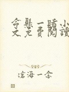 命悬一赌小说全文免费阅读