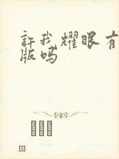 许我耀眼有小说版吗