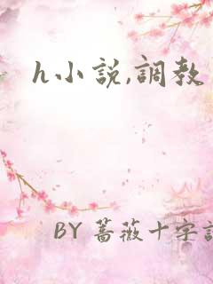h小说,调教