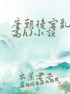 唐朝后宫乱淫(高h)小说