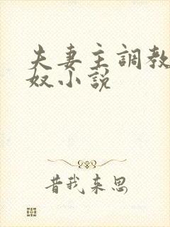 夫妻主调教夫妻奴小说