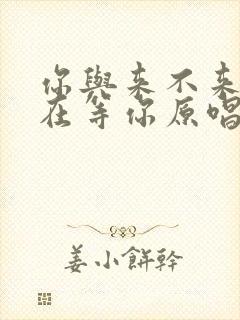 你与来不来我都在等你原唱完整版