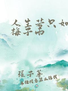 人生若只如初见梅子雨