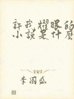 许我耀眼的原著小说是什么