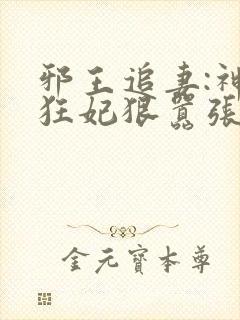 邪王追妻:神医狂妃狠嚣张小说