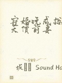 宠婚晚成总裁的天价前妻