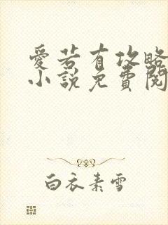 爱若有攻略原著小说免费阅读