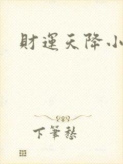 财运天降小说