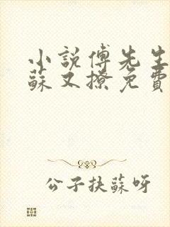 小说傅先生他又苏又撩免费看