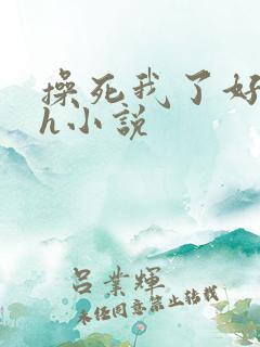 操死我了好爽高h小说